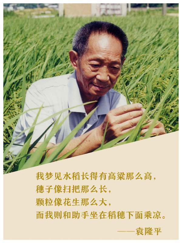 东升国际官网进行袁隆平院士追思会 东升国际官网进行袁隆平院士追思会