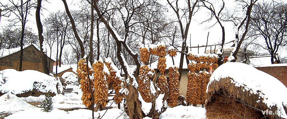 瑞雪兆丰年 瑞雪兆丰年