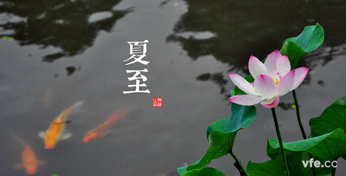 夏至 夏至