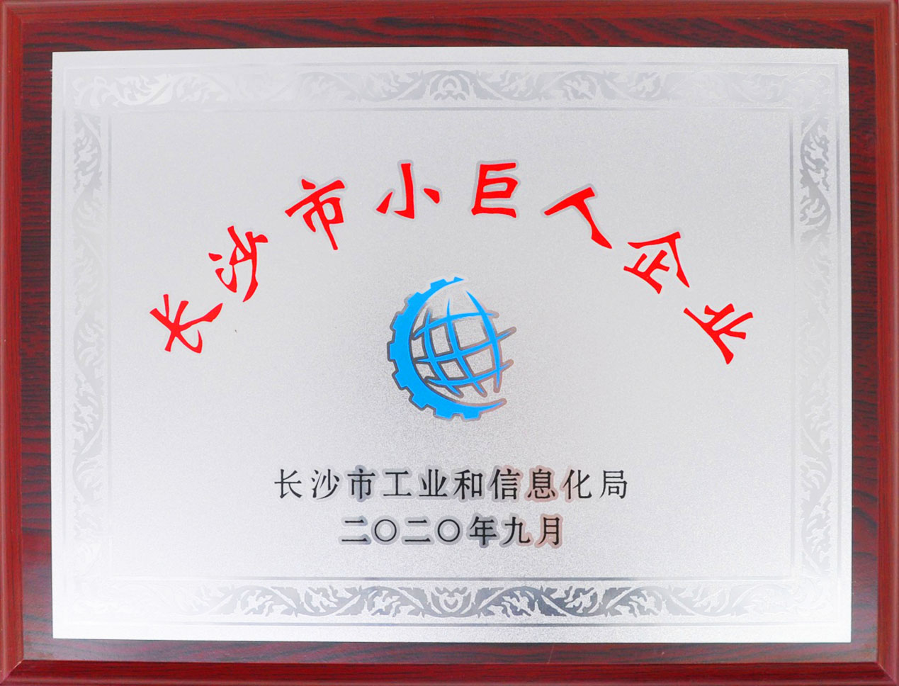 东升国际官网电气喜获长沙视装幼巨人企业”授牌 东升国际官网电气喜获长沙视装幼巨人企业”授牌
