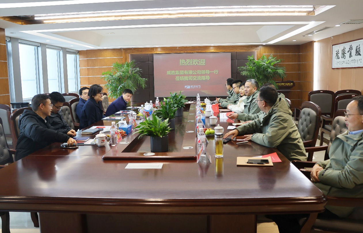 威胜集团接见东升国际官网