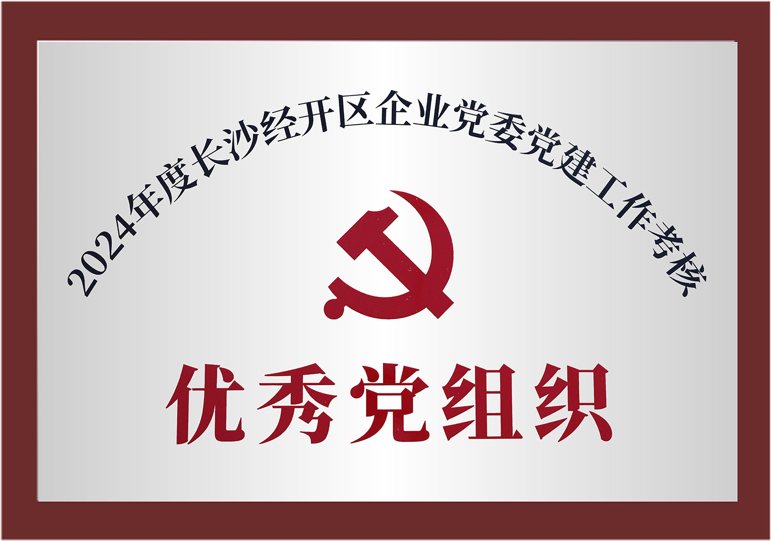 优良党组织2