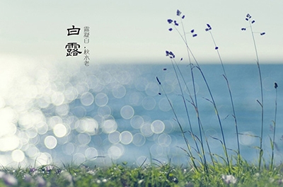 白露降，，，，，，秋意浓