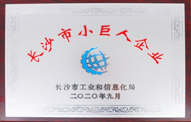 东升国际官网电气喜获长沙视装幼巨人企业”授牌