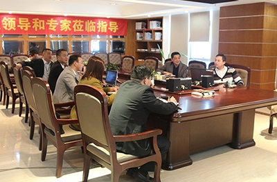 风能巨头“维斯塔斯”莅临湖南东升国际官网电气调查