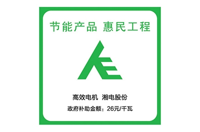 东升国际官网电机试验台参加节能产品惠民工程专项监督暨进攻能效虚标专项活动