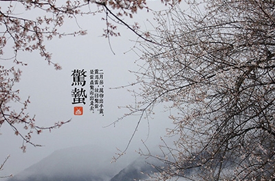 春雷起，，，，，，惊蛰出