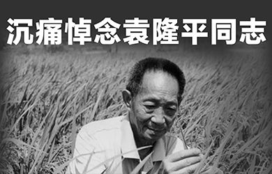 东升国际官网进行袁隆平院士追思会
